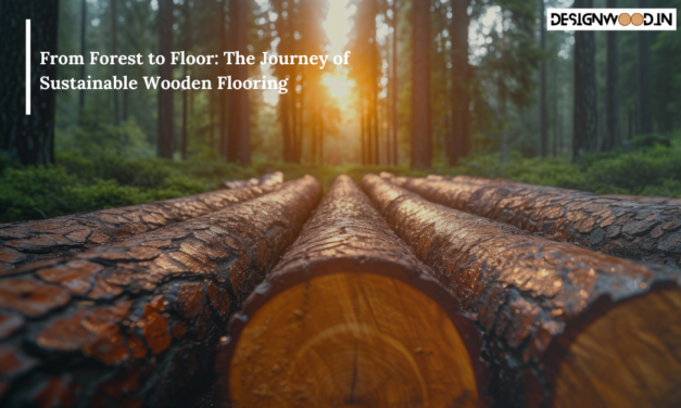 From Forest to Floor: The Journey of Sustainable Wooden Flooring